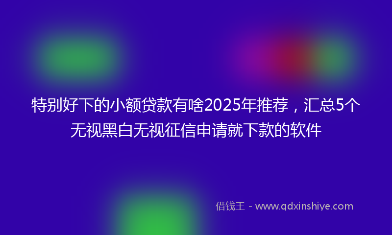 特别好下的小额贷款有啥2025年推荐，汇总5个无视黑白无视征信申请就下款的软件