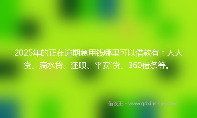 2025年的正在逾期急用钱哪里可以借款有：人人贷、滴水贷、还呗、平安i贷、360借条等。