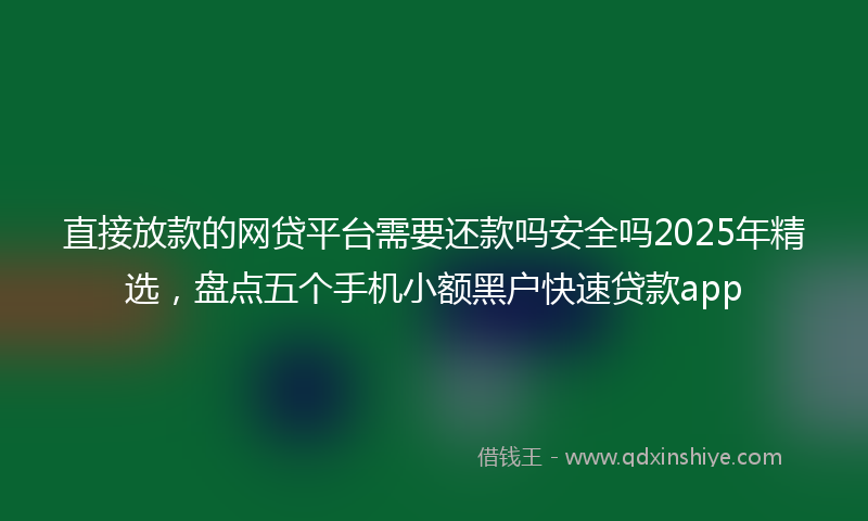 直接放款的网贷平台需要还款吗安全吗2025年精选，盘点五个手机小额黑户快速贷款app