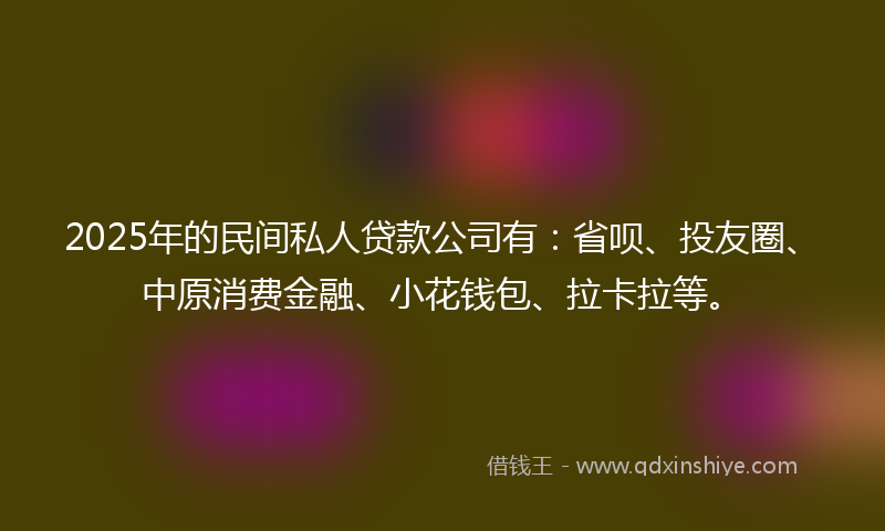 2025年的民间私人贷款公司有:省呗、投友圈、中原消费金融、小花钱包、拉卡拉等。