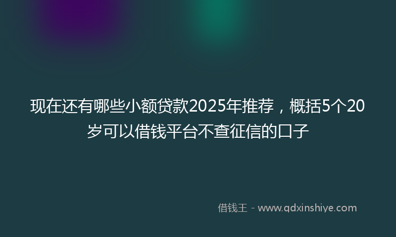 现在还有哪些小额贷款2025年推荐，概括5个20岁可以借钱平台不查征信的口子
