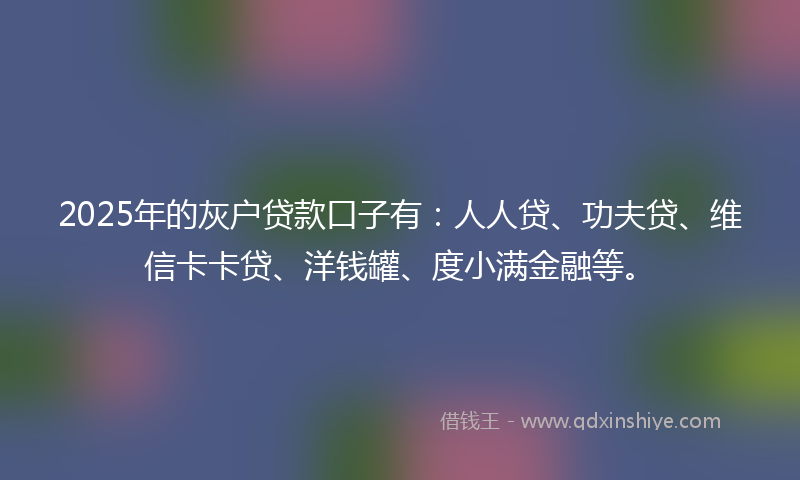 2025年的灰户贷款口子有：人人贷、功夫贷、维信卡卡贷、洋钱罐、度小满金融等。