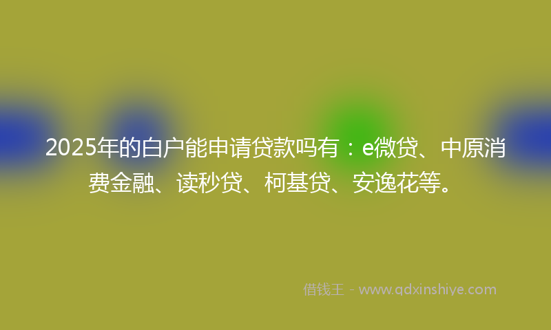2025年的白户能申请贷款吗有：e微贷、中原消费金融、读秒贷、柯基贷、安逸花等。