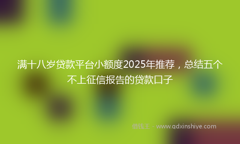 满十八岁贷款平台小额度2025年推荐，总结五个不上征信报告的贷款口子