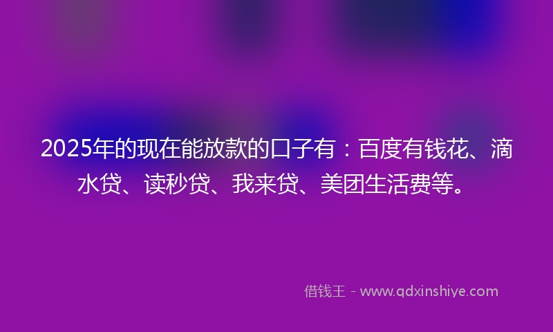 2025年的现在能放款的口子有：百度有钱花、滴水贷、读秒贷、我来贷、美团生活费等。
