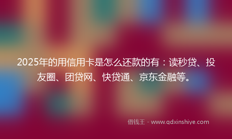 2025年的用信用卡是怎么还款的有：读秒贷、投友圈、团贷网、快贷通、京东金融等。