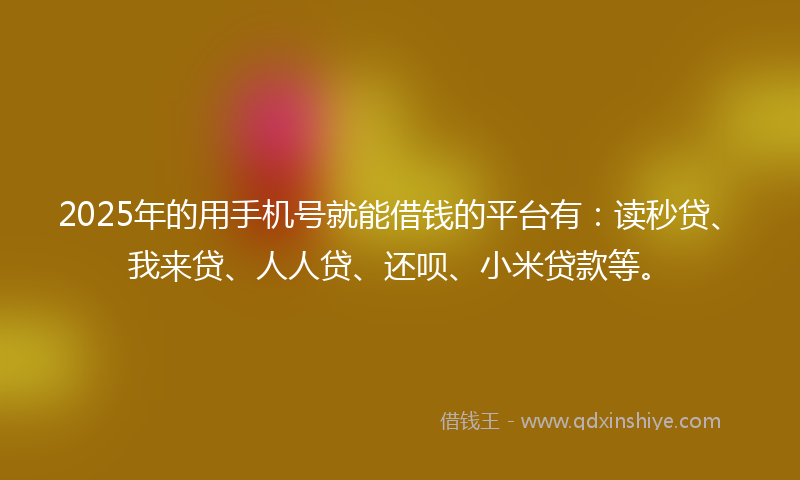 2025年的用手机号就能借钱的平台有：读秒贷、我来贷、人人贷、还呗、小米贷款等。