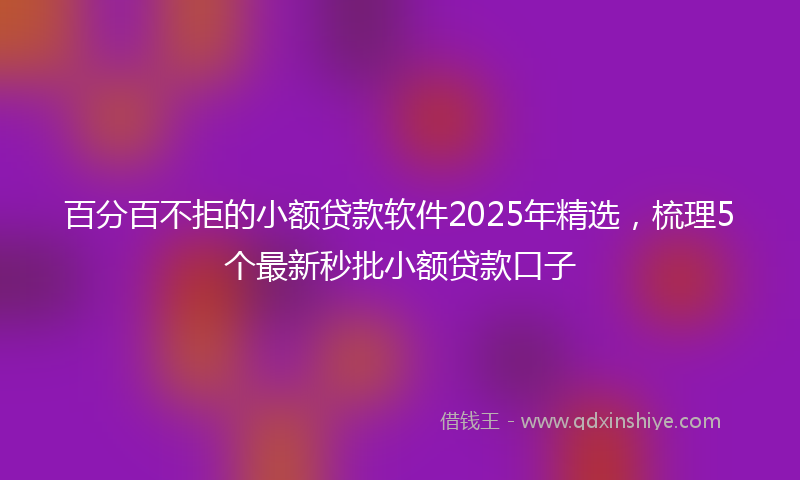 百分百不拒的小额贷款软件2025年精选，梳理5个最新秒批小额贷款口子