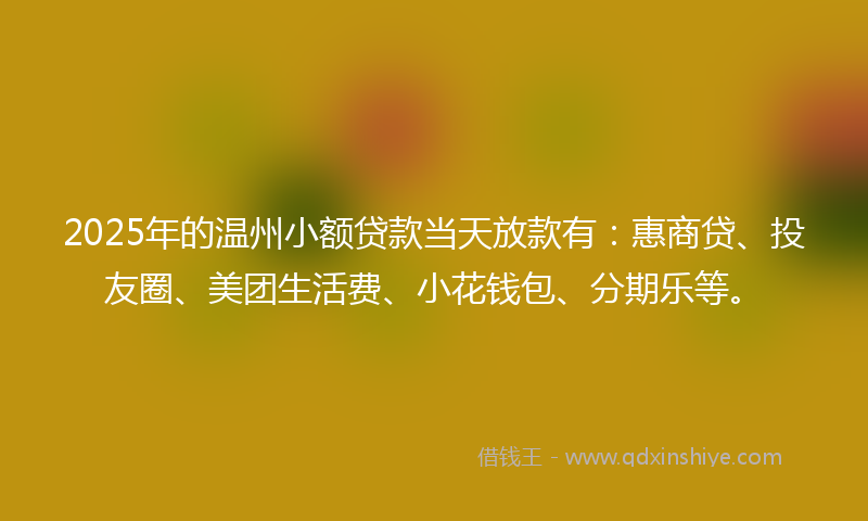 2025年的温州小额贷款当天放款有：惠商贷、投友圈、美团生活费、小花钱包、分期乐等。