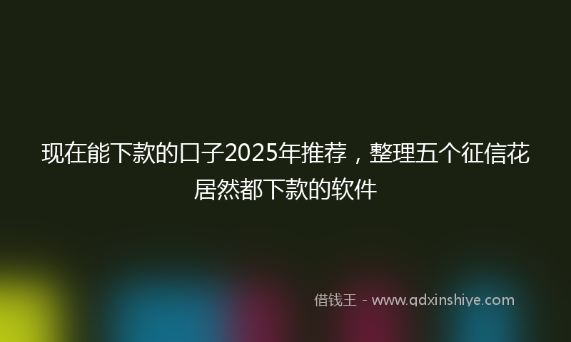 现在能下款的口子2025年推荐，整理五个征信花居然都下款的软件