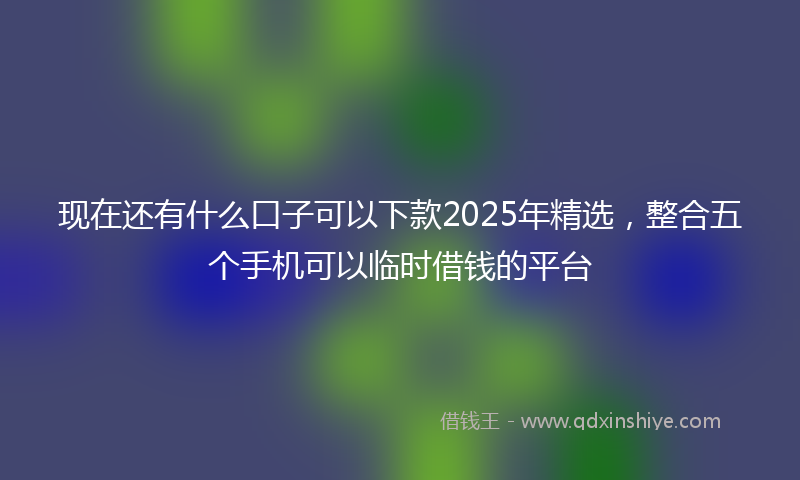 现在还有什么口子可以下款2025年精选，整合五个手机可以临时借钱的平台