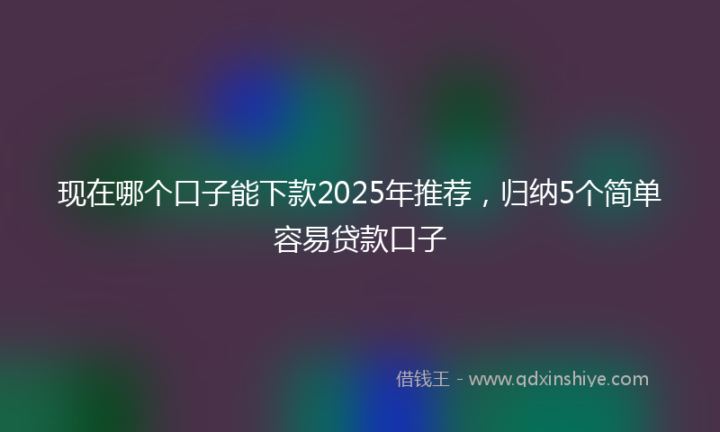 现在哪个口子能下款2025年推荐，归纳5个简单容易贷款口子