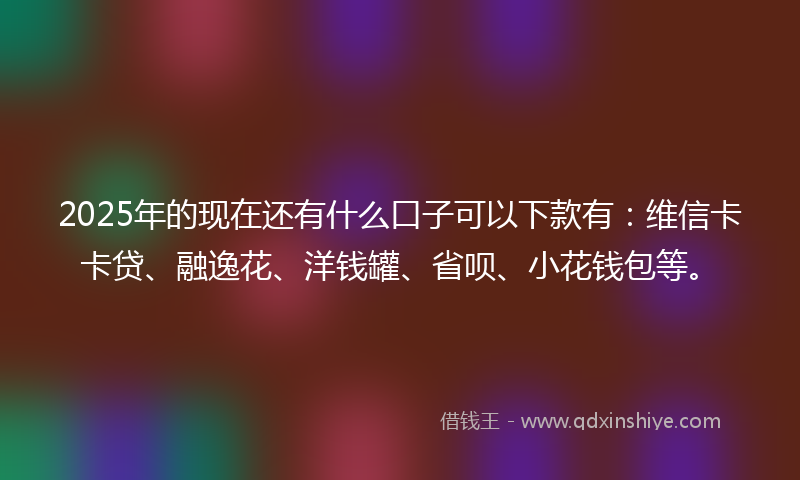 2025年的现在还有什么口子可以下款有：维信卡卡贷、融逸花、洋钱罐、省呗、小花钱包等。