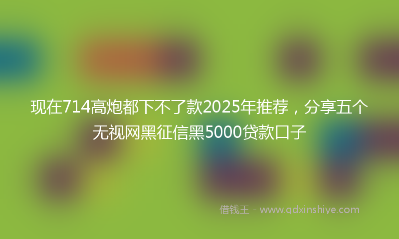 现在714高炮都下不了款2025年推荐，分享五个无视网黑征信黑5000贷款口子