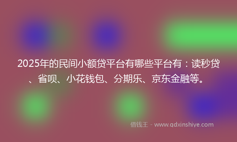 2025年的民间小额贷平台有哪些平台有：读秒贷、省呗、小花钱包、分期乐、京东金融等。
