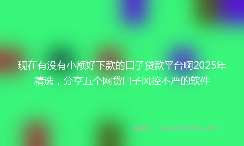 现在有没有小额好下款的口子贷款平台啊2025年精选，分享五个网贷口子风控不严的软件