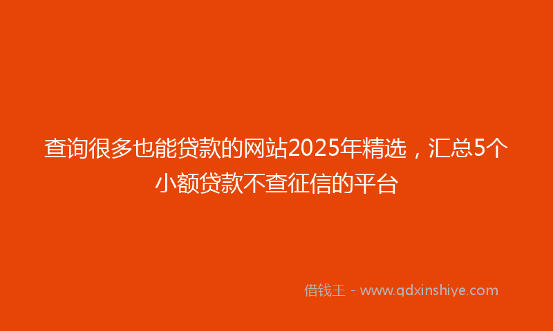 查询很多也能贷款的网站2025年精选，汇总5个小额贷款不查征信的平台