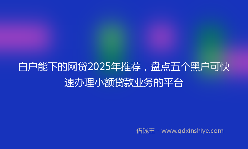 白户能下的网贷2025年推荐，盘点五个黑户可快速办理小额贷款业务的平台