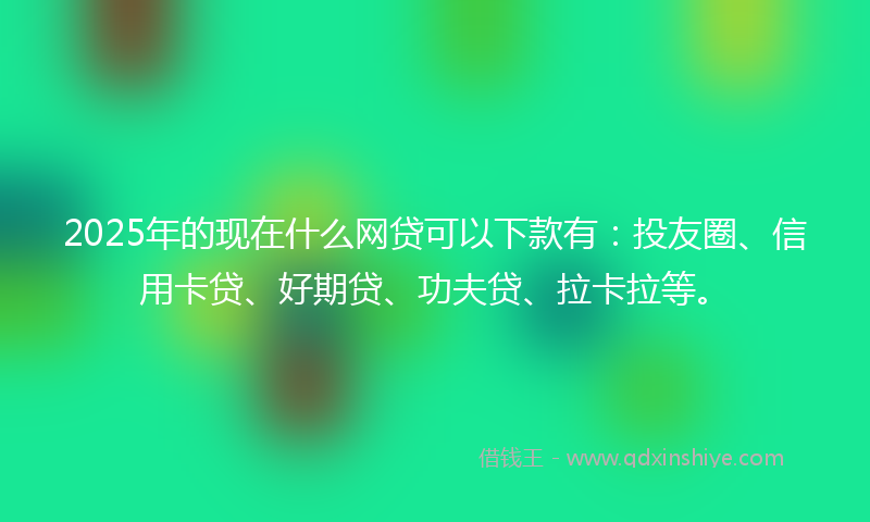 2025年的现在什么网贷可以下款有：投友圈、信用卡贷、好期贷、功夫贷、拉卡拉等。