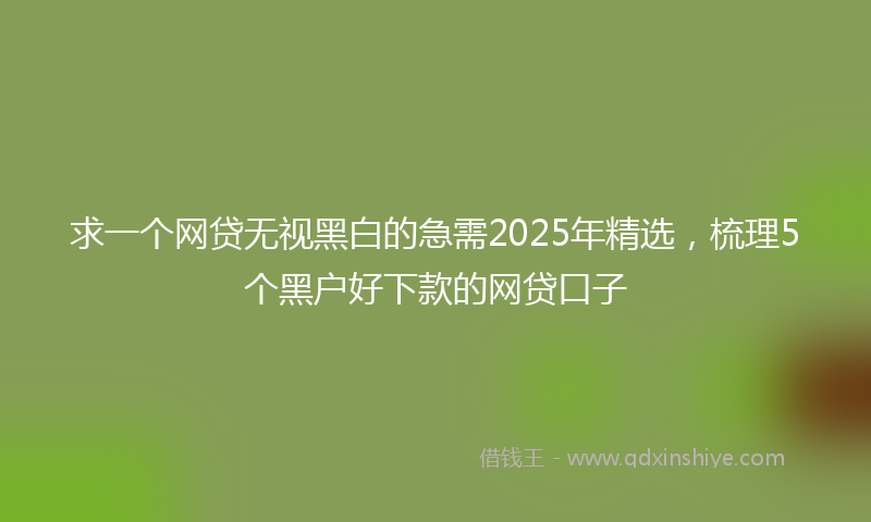 求一个网贷无视黑白的急需2025年精选，梳理5个黑户好下款的网贷口子