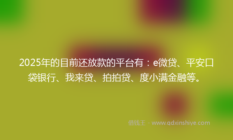 2025年的目前还放款的平台有：e微贷、平安口袋银行、我来贷、拍拍贷、度小满金融等。