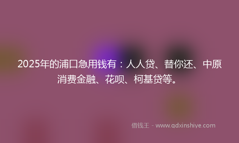 2025年的浦口急用钱有：人人贷、替你还、中原消费金融、花呗、柯基贷等。