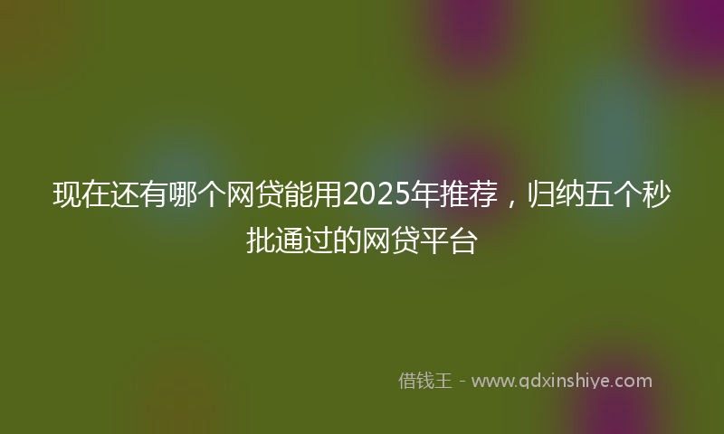 现在还有哪个网贷能用2025年推荐，归纳五个秒批通过的网贷平台