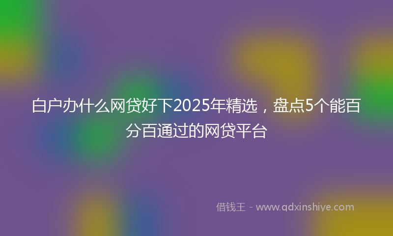 白户办什么网贷好下2025年精选，盘点5个能百分百通过的网贷平台