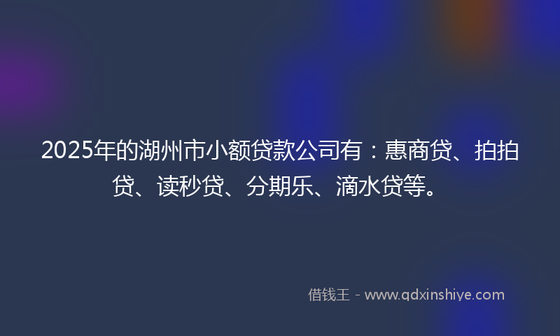 2025年的湖州市小额贷款公司有：惠商贷、拍拍贷、读秒贷、分期乐、滴水贷等。