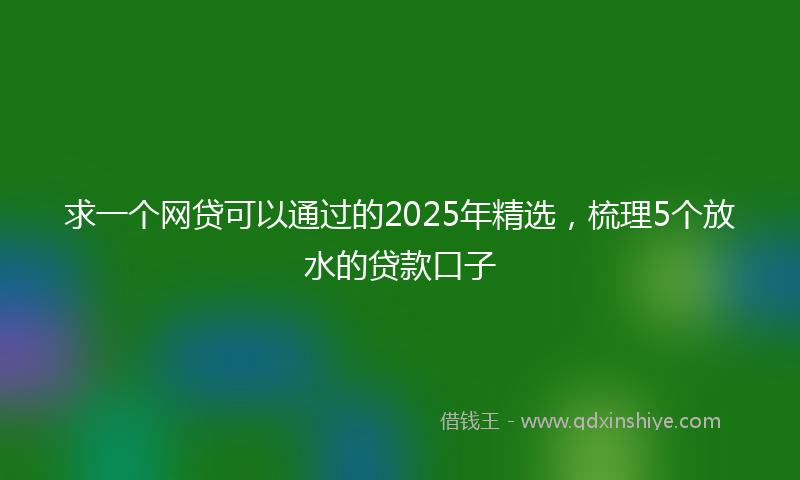 求一个网贷可以通过的2025年精选，梳理5个放水的贷款口子
