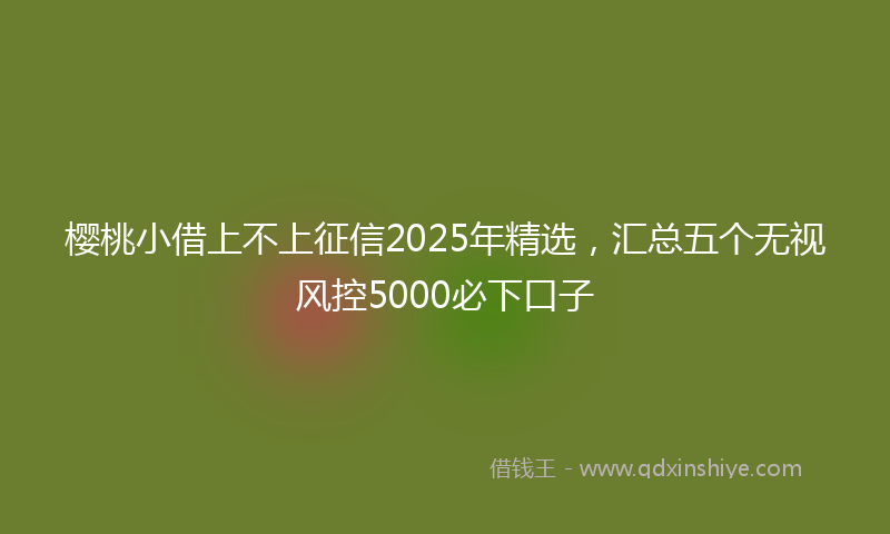 樱桃小借上不上征信2025年精选，汇总五个无视风控5000必下口子