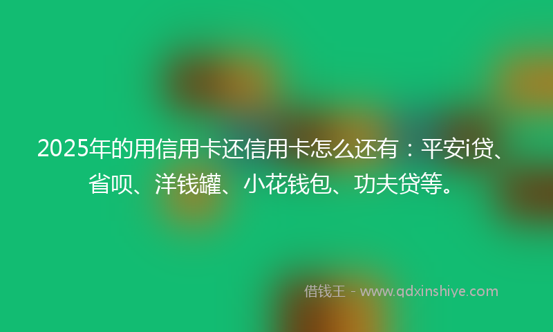 2025年的用信用卡还信用卡怎么还有：平安i贷、省呗、洋钱罐、小花钱包、功夫贷等。
