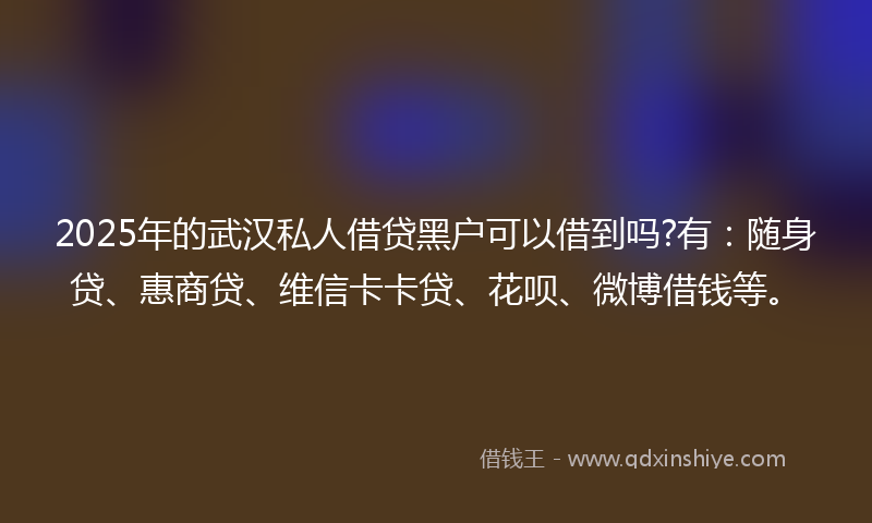 2025年的武汉私人借贷黑户可以借到吗?有：随身贷、惠商贷、维信卡卡贷、花呗、微博借钱等。