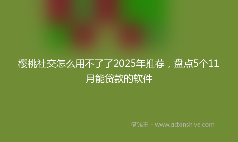 樱桃社交怎么用不了了2025年推荐，盘点5个11月能贷款的软件