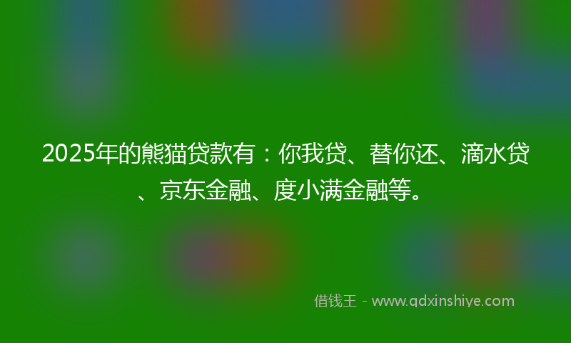 2025年的熊猫贷款有：你我贷、替你还、滴水贷、京东金融、度小满金融等。