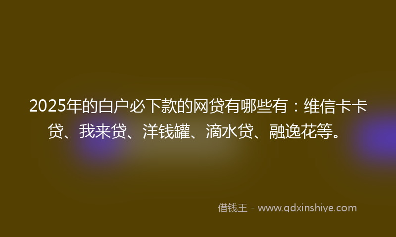 2025年的白户必下款的网贷有哪些有：维信卡卡贷、我来贷、洋钱罐、滴水贷、融逸花等。