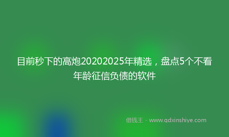 目前秒下的高炮20202025年精选，盘点5个不看年龄征信负债的软件