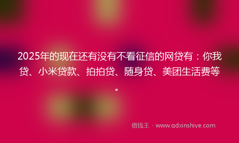 2025年的现在还有没有不看征信的网贷有：你我贷、小米贷款、拍拍贷、随身贷、美团生活费等。