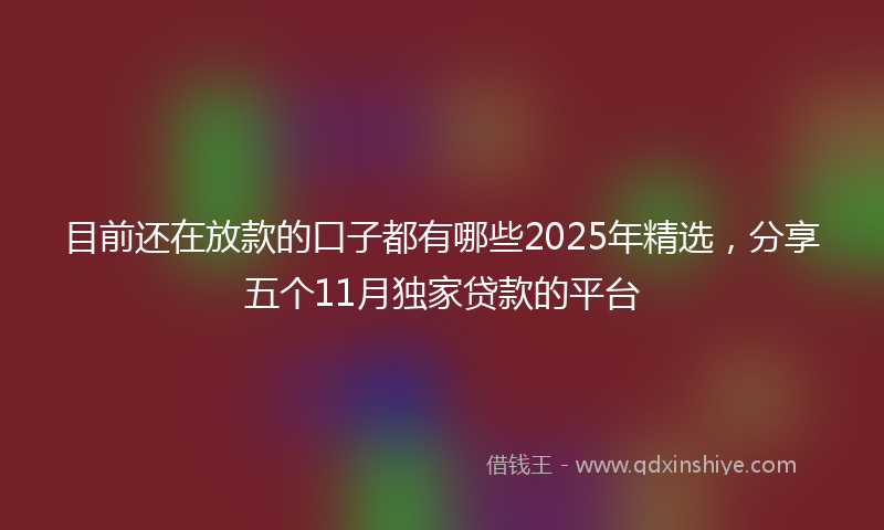目前还在放款的口子都有哪些2025年精选，分享五个11月独家贷款的平台
