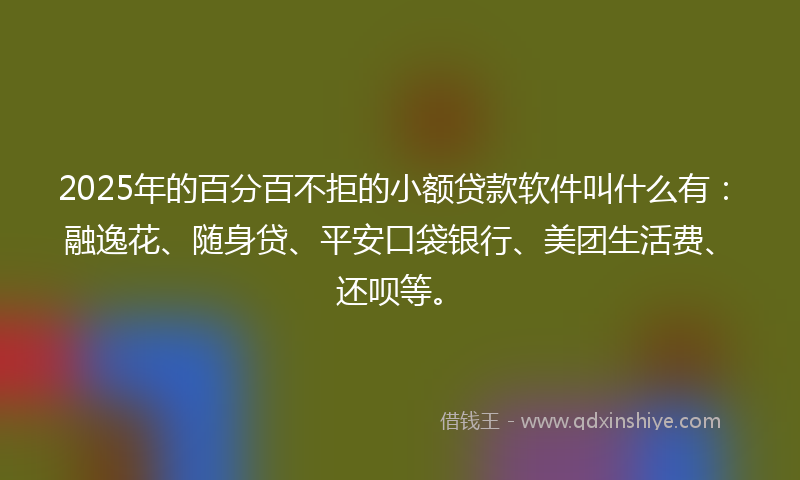 2025年的百分百不拒的小额贷款软件叫什么有：融逸花、随身贷、平安口袋银行、美团生活费、还呗等。
