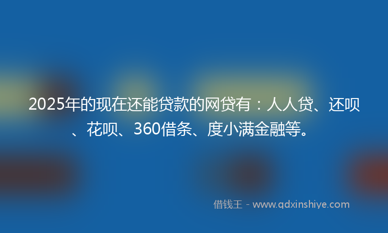 2025年的现在还能贷款的网贷有：人人贷、还呗、花呗、360借条、度小满金融等。
