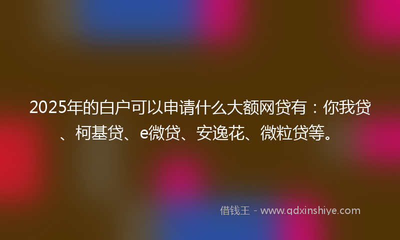 2025年的白户可以申请什么大额网贷有：你我贷、柯基贷、e微贷、安逸花、微粒贷等。