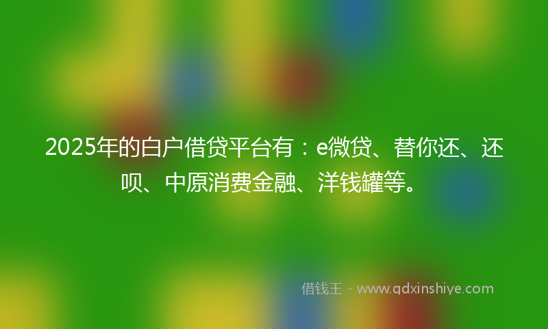 2025年的白户借贷平台有：e微贷、替你还、还呗、中原消费金融、洋钱罐等。