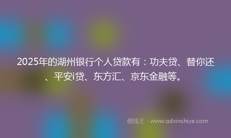 2025年的湖州银行个人贷款有：功夫贷、替你还、平安i贷、东方汇、京东金融等。
