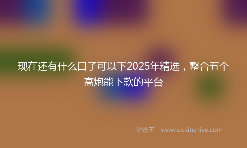 现在还有什么口子可以下2025年精选，整合五个高炮能下款的平台