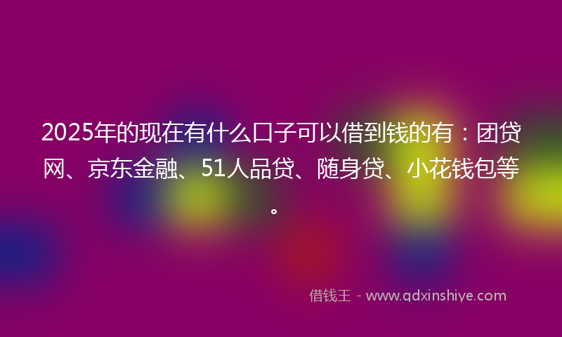 2025年的现在有什么口子可以借到钱的有：团贷网、京东金融、51人品贷、随身贷、小花钱包等。
