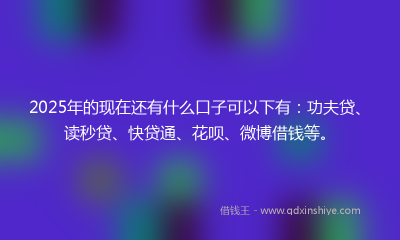 2025年的现在还有什么口子可以下有：功夫贷、读秒贷、快贷通、花呗、微博借钱等。