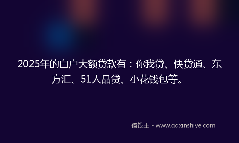 2025年的白户大额贷款有：你我贷、快贷通、东方汇、51人品贷、小花钱包等。