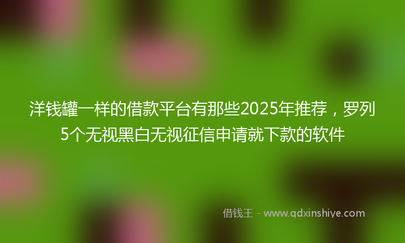 洋钱罐一样的借款平台有那些2025年推荐，罗列5个无视黑白无视征信申请就下款的软件