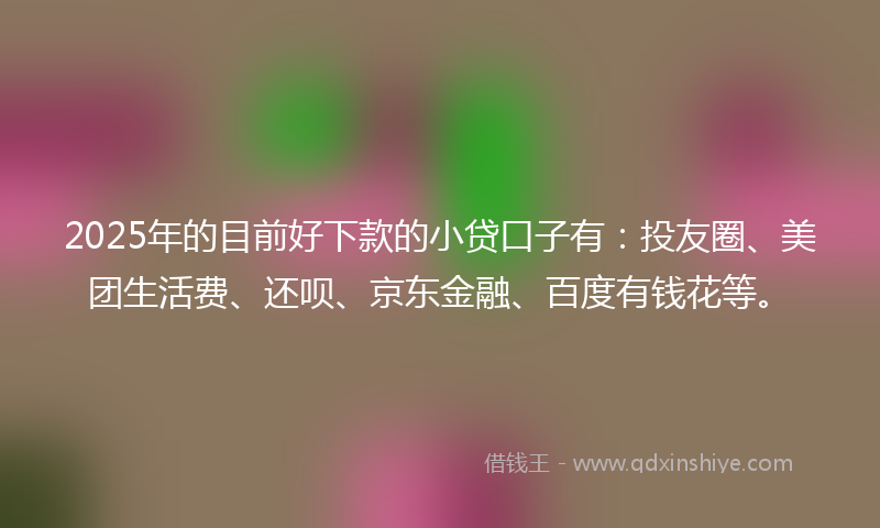 2025年的目前好下款的小贷口子有：投友圈、美团生活费、还呗、京东金融、百度有钱花等。